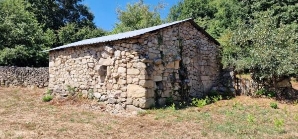 Terreno en Lugar a Reguenga- Santiago de Barbantes s/n