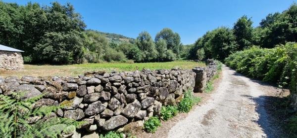 Terreno en Lugar a Reguenga- Santiago de Barbantes s/n
