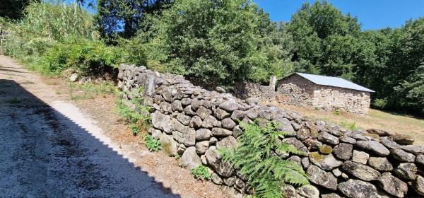 Terreno en Lugar a Reguenga- Santiago de Barbantes s/n