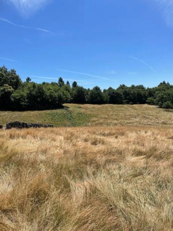 Terreno en Aldea de Ricobelo s/n