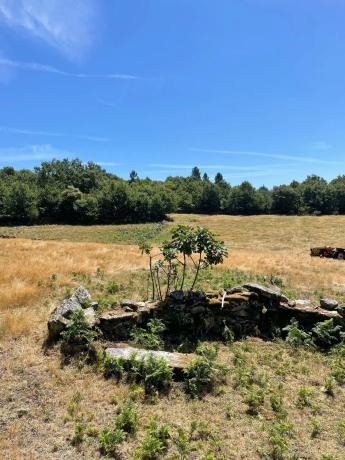 Terreno en Aldea de Ricobelo s/n