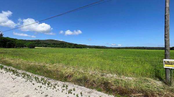 Terreno en calle Novaiño, 2
