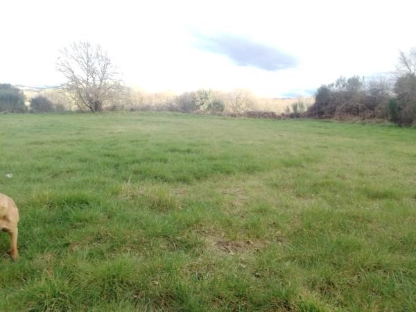 Terreno en camino do Souto, km 1