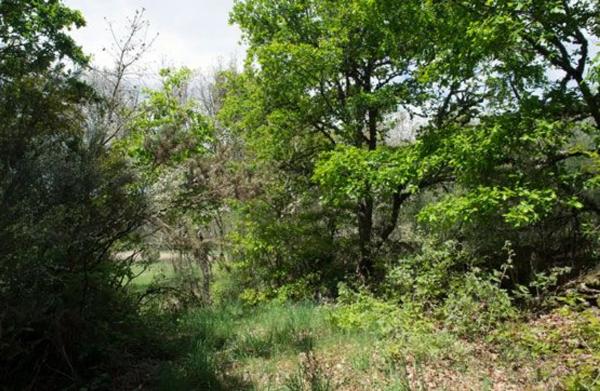 Terreno en camino Sen Nome