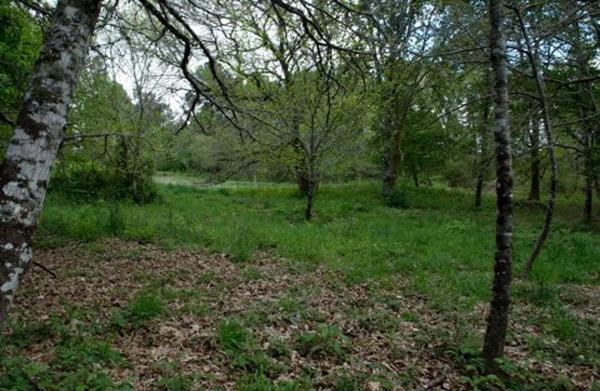 Terreno en camino Sen Nome