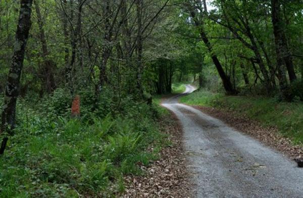 Terreno en camino Sen Nome