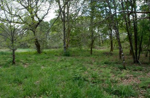 Terreno en camino Sen Nome