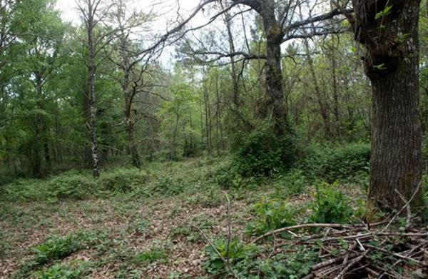 Terreno en camino Sen Nome