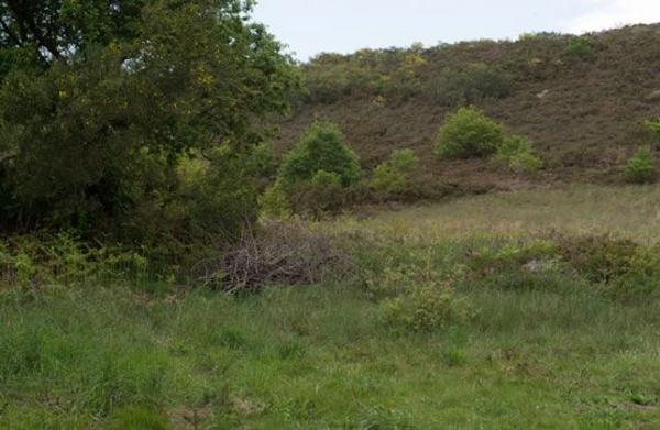 Terreno en camino sen nome