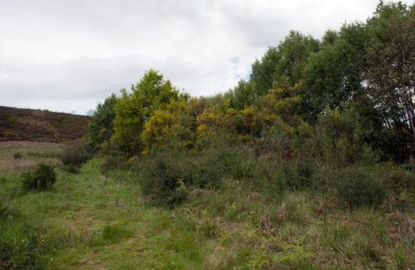 Terreno en camino sen nome