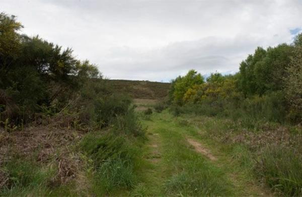 Terreno en camino sen nome