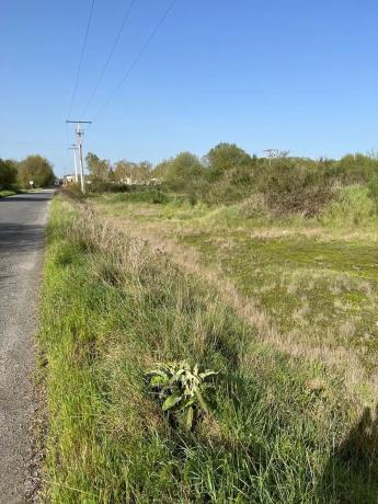 Terreno en carretera Ou-0110 s/n