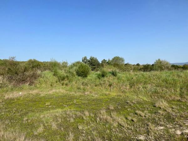 Terreno en carretera Ou-0110 s/n