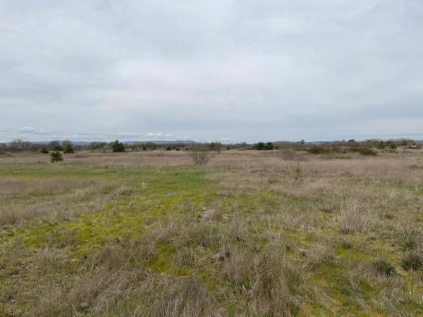 Terreno en carretera Ou-0110 s/n