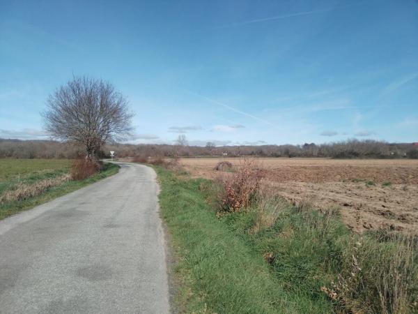 Terreno en polígono 503 parcela 2317 s/n