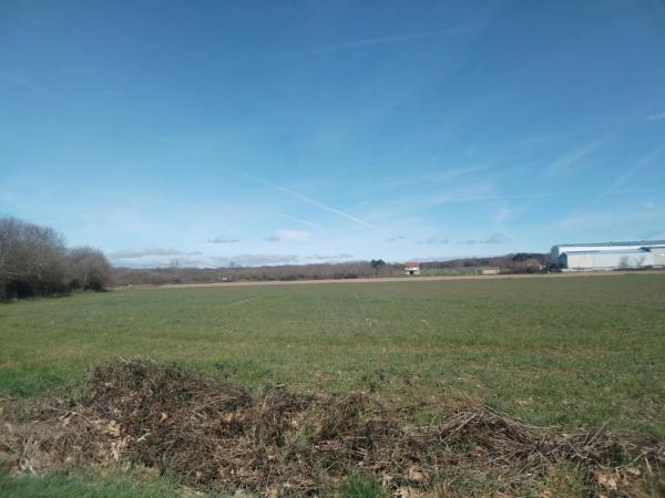 Terreno en polígono 503 parcela 2317 s/n