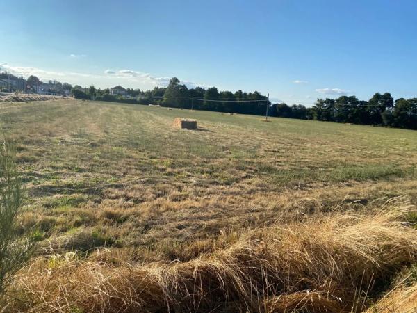 Terreno en calle Otero Pedrayo s/n
