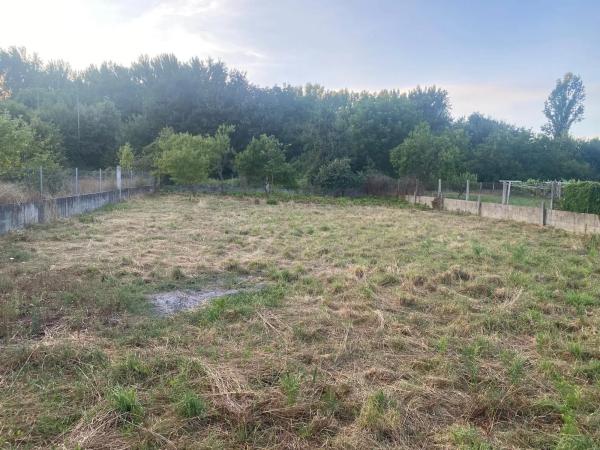 Terreno en carretera Tintores, 35