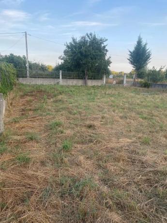 Terreno en carretera Tintores, 35