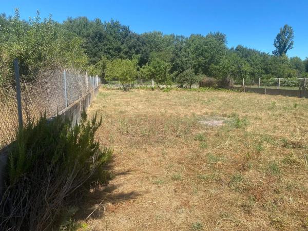 Terreno en carretera Tintores, 35