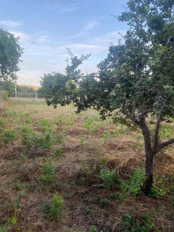 Terreno en carretera Tintores, 35