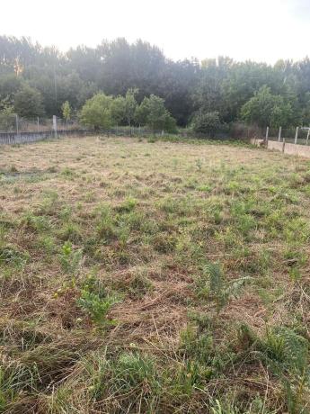 Terreno en carretera Tintores, 35