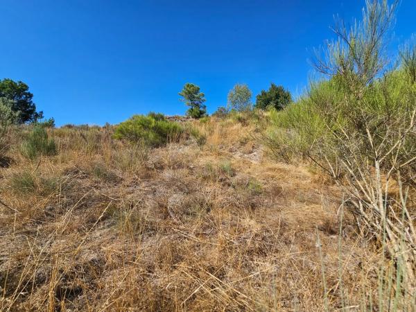 Terreno en camino de San Gregorio, 23