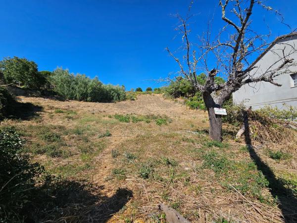Terreno en camino de San Gregorio, 23