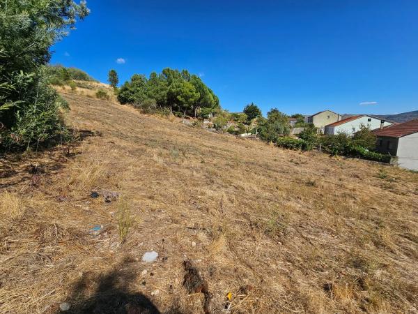 Terreno en camino de San Gregorio, 23