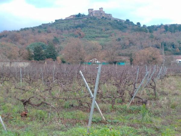 Terreno en calle do Castelo s/n