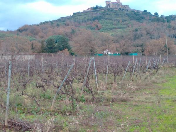 Terreno en calle do Castelo s/n