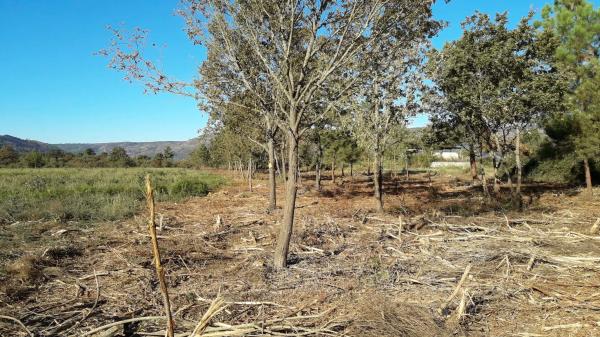 Terreno en N-525, 189