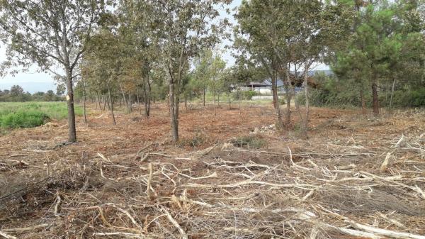 Terreno en N-525, 189