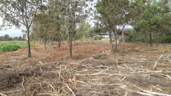 Terreno en N-525, 189