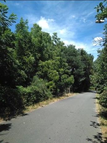 Terreno en Vilela s/n