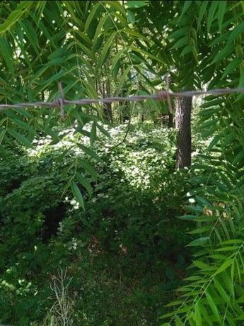 Terreno en Vilela s/n