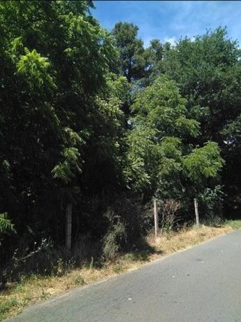 Terreno en Vilela s/n