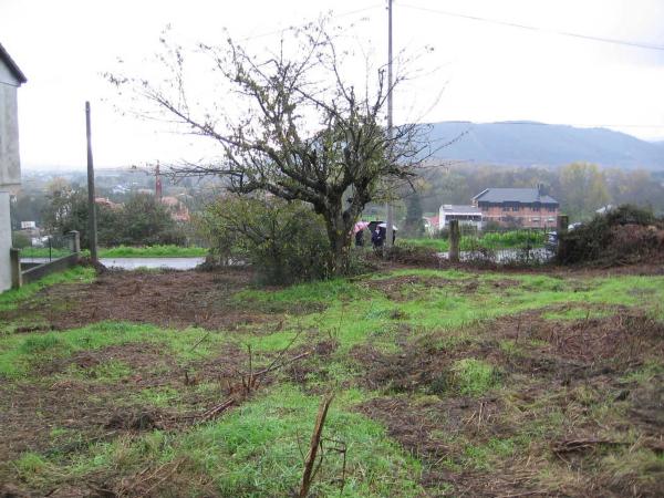 Terreno en camino San Gregorio, 23