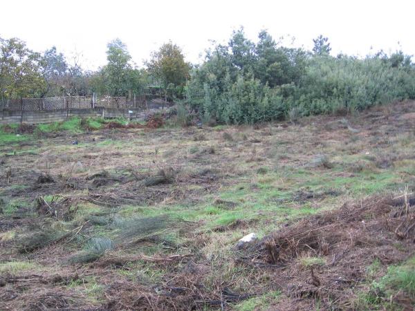 Terreno en camino San Gregorio, 23