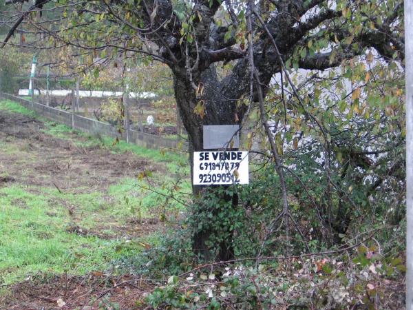 Terreno en camino San Gregorio, 23