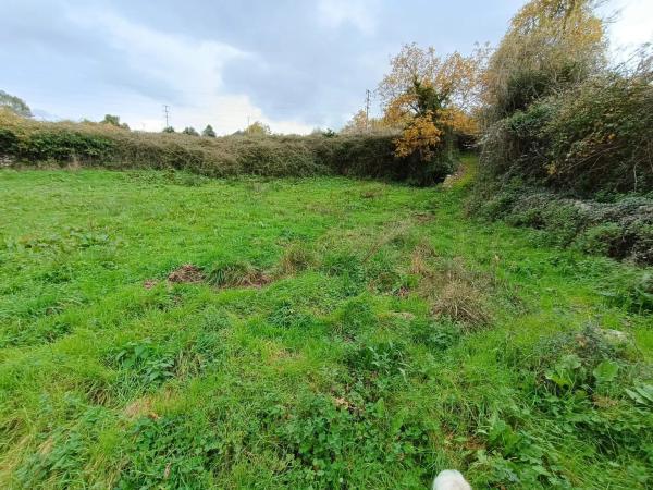 Terreno en Seoane de abaixo s/n iberdrola