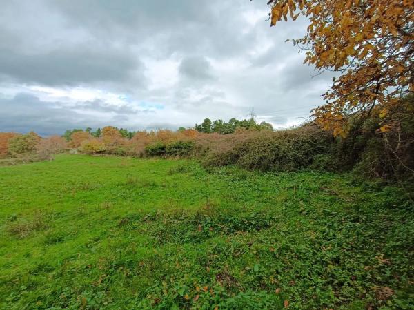 Terreno en Seoane de abaixo s/n iberdrola