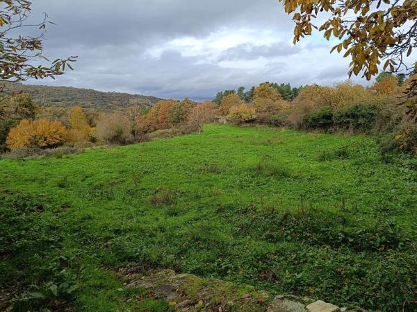 Terreno en Seoane de abaixo s/n iberdrola