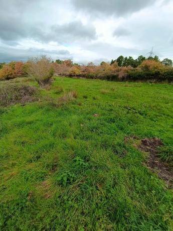 Terreno en Seoane de abaixo s/n iberdrola