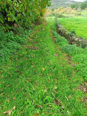 Terreno en Seoane de abaixo s/n iberdrola