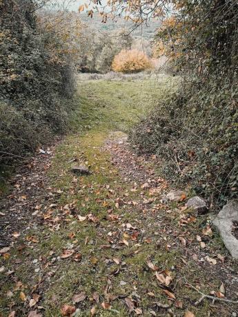 Terreno en Seoane de abaixo s/n iberdrola