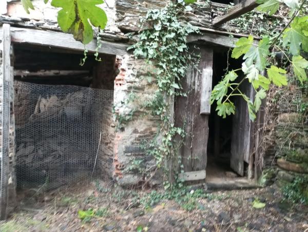 Terreno en Polígono 13. Parcela 559 s/n