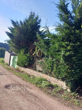 Terreno en Arcos s/n