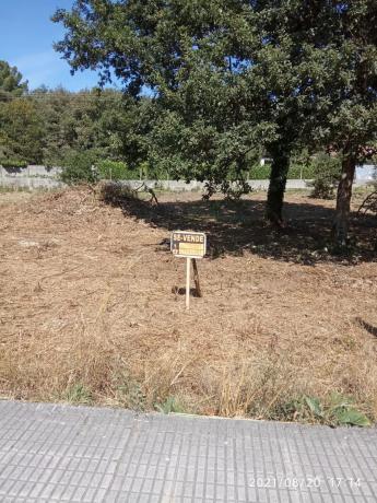 Terreno en calle de Celanova, 81