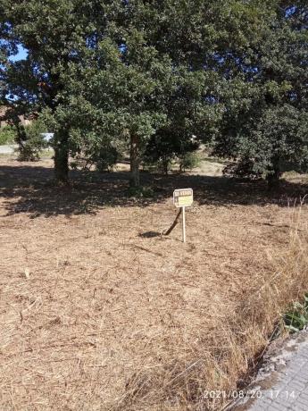 Terreno en calle de Celanova, 81